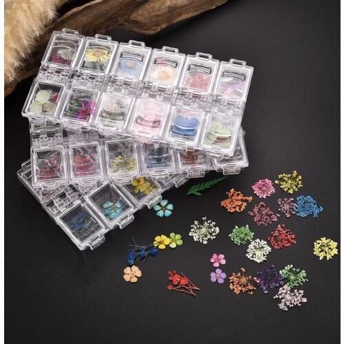 Pressed Dried Flower Dry Plants For Epoxy UV Resin Pendant Necklace Jewelry Making Craft DIY Nail Art Decoration Accessories