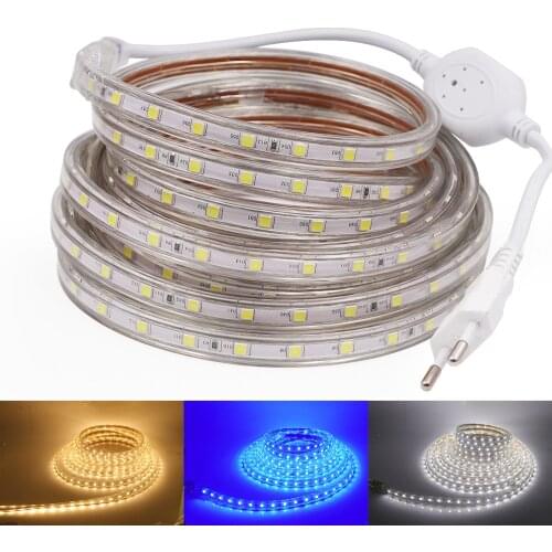 LED Strip 110V 220V Waterproof Outdoor Decoration 60LEDs/m White / Blue / Warm White Flexible Tape Ribbon LED Light Strip
