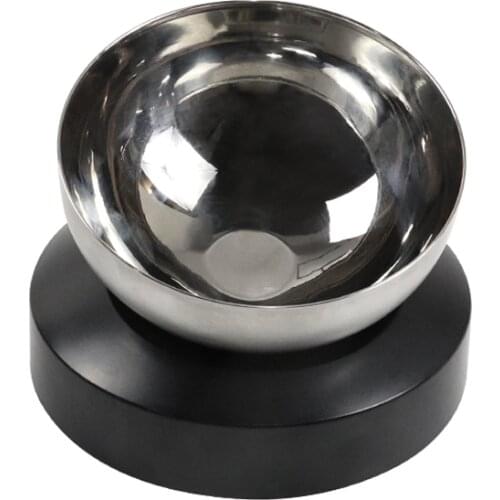 Elevated Cat Bowl Dog Water Bowls Stainless Steel 20 Degrees Tilted Raised Pet Feeding Bowls Drinking Feeder for Small Cats Dogs