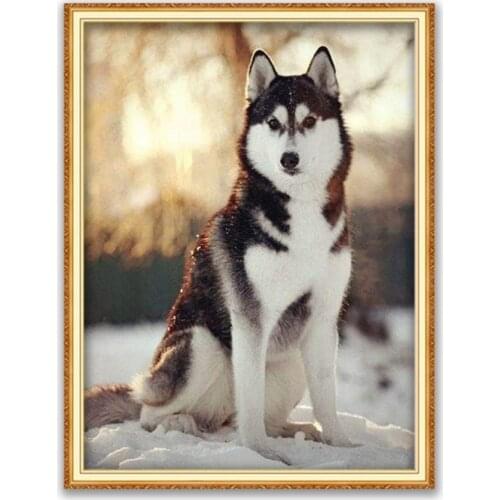 Animal Dog Husky DIY Embroidery 11CT Cross Stitch Kits Needlework Craft Set Cotton Thread Printed Canvas Home Decoration On Sale