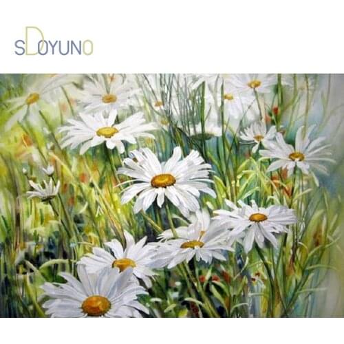SDOYUNO Frame DIY Painting By Numbers Daisy Flowers acrylic Coloring by number kits Drawing Pictures By Numbers For Home Decors