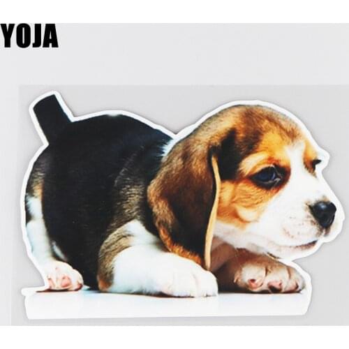 YOJA 18.4×12.9CM Dog On Tummy Rear Windshield Decor Stickers Cute Cartoon Car Accessories 19B-0043