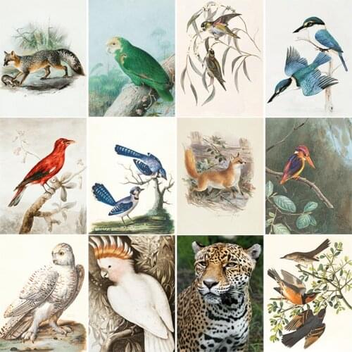 DIY Handmade Animal Painting With Diamond Full Round Drill Birds Embroidery Cross Stitch Kit Art Crystal Craft Decor