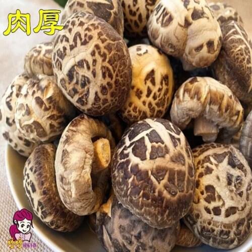 Wild organic dried mushrooms, dried mushrooms to prevent disease, dried mushrooms, natural health foods that delay aging