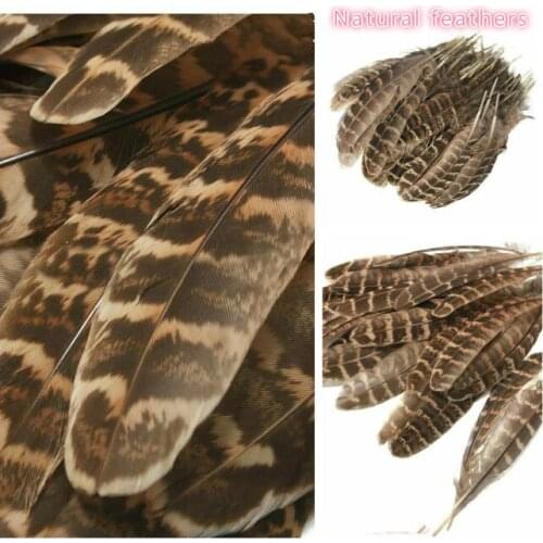 50PCS Natural Pheasant Feather Handicraft Jewelry Making,home decoration accessories 10-15cm