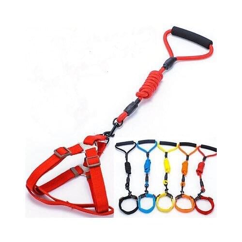 Pet Dog Adjustable Nylon Rope Traning Leash Slip Lead Strao Traction Collar Nylon Harness Lead leash Traction Rope