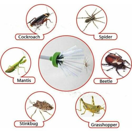 One Piece Creative Insect Pest Trap Cockroach Scorpion Fly Trap Fly Cricket Insect Trap Pest Control Supplies