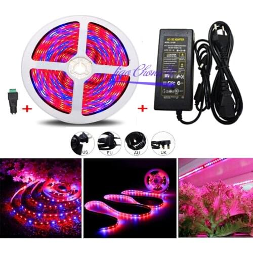 5M 5050 300 LED Plant Grow Strip Light Full Spectrum Veg Red+Blue IP20 non-waterproof IP65 waterproof with 12V 5A LED power