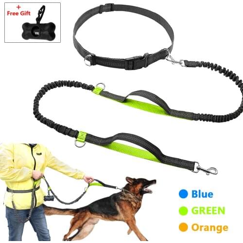 Retractable Hands Free Dog Leash for Running Dual Handle Bungee Leash Reflective For Up to 150 lbs Large Dogs Free Bag Dispenser