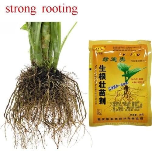 30g 1 Pack Rooting and Strong Seedling Agent To Improve The Survival Rate of Cuttage Transplanting Flowers and Plants