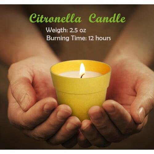 6pcs/set Citronella Scented Soy Wax Candles Kit Aromatherapy Jar with Wax Smoke Free 2.5Oz/jar