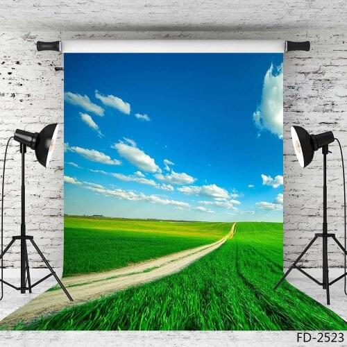 Green Lawn Blue Sky Vinyl Photography Backgrounds Backdrops Photocall for Wedding Lover Baby Children Photo Studio Photophone