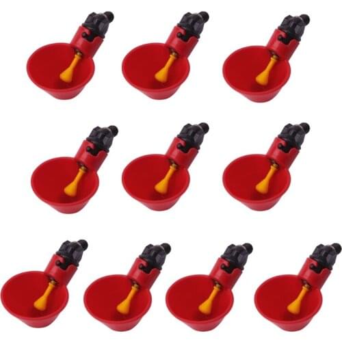 Poultry Water Drinking Cups Plastic Poultry Chicken Hen Bird Automatic Drinker