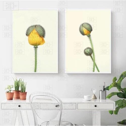 Nordic Posters Yellow Dandelion Bud Canvas Art Print Paintings for Living Room Bedroom Decoration Botanical Wall Art Pictures