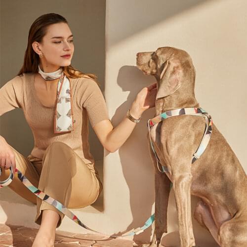 Explosion Proof Small-large Dog Leash Y-shaped Dog Harness Elastic Buffer Dog Leads Golden Retriever Corgi Dog Accessories