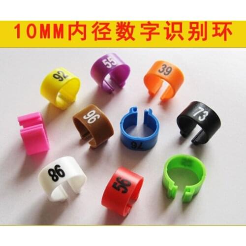 2018 pigeon training supplies plastic rings for pigeons leg rings identify dove bands 10mm big