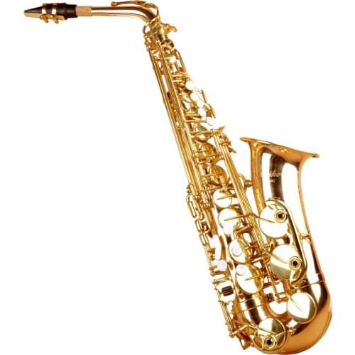 Saxophone beginners E-flat alto saxophone exam performance