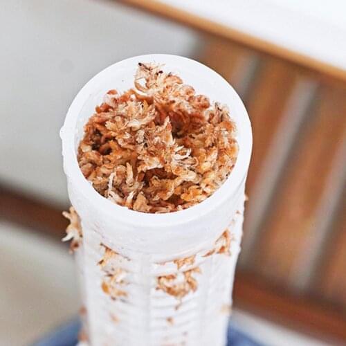 1 Pcs Balcony Vegetables Climbing Pillar Plants Growing Support Pole Sphagnum Moss Sticks Plant Holding Rack Gardening Supplies