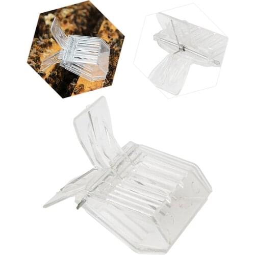 Beeekping Bee Queen Catcher Bee Hive Tools For Beekeeping Equipment Beekeeper Suppiler