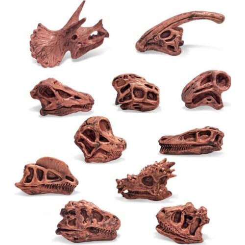 Dinosaur Skull High Simulation Aquarium Decor Plastic Fossil Teaching Skeleton Model for Collectors Craft Gifts Home Decor Toys