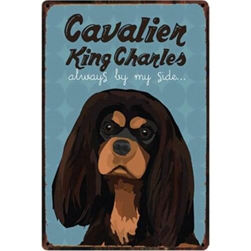 Warning Dangerous Dog Metal Sign Tin Poster Home Decor Bar Wall Art Painting 20*30 CM