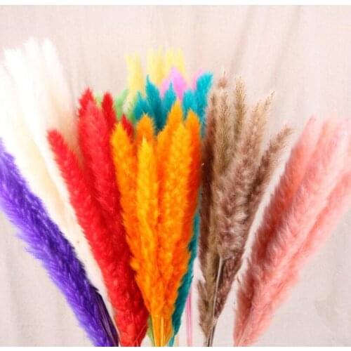 7pcs/lot Natural Dried Flowers Artificial Dyeing Real Flowers Reed Bouquet for Home Wedding Decoration Fake Flowers