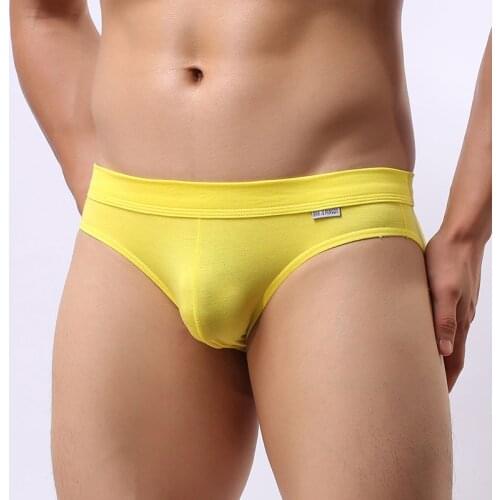 Brave Person Brand Mens Briefs Sexy Men Underwear Briefs Modal High Quality Fashion Male Panties Breathable cuecas masculinas