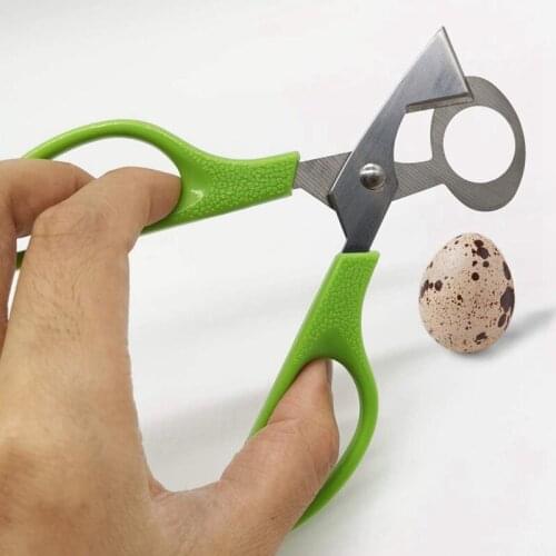 10PCS Quail Egg Scissors Quail Egg Shell Cutters Separator Small Quail Egg Cracker Quail Scissors Opener Cigar Cutter