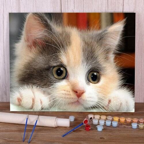 Flower Animal Painting By Numbers Complete Kit Oil Paints 50*70 Canvas Painting Handmade For Children Handiwork Handicraft Art