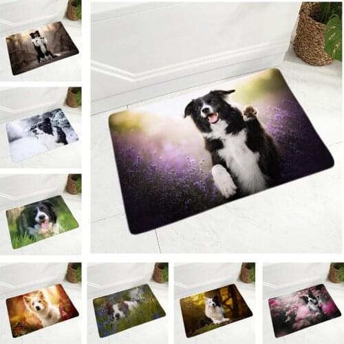 Pet Dog Animal Doormat Decor Scotland Border Collie Floor Door Mat Non-Slip Soft Flannel Carpet for Hallway kitchen Room 40x60cm