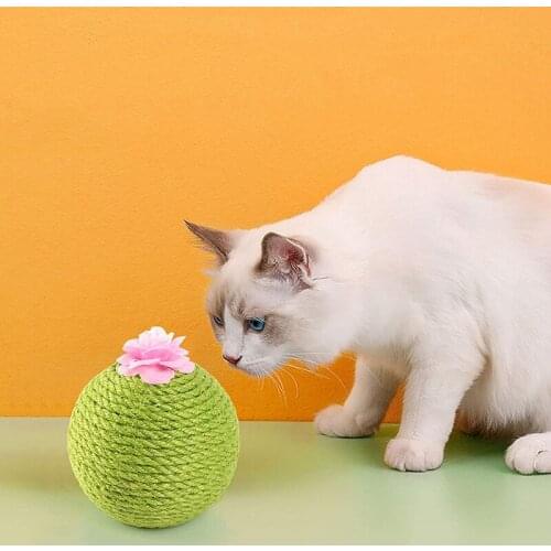 Catnip Toys Cat Scratching Ball Toys Cactus Sisal Tumbler Kitten Toy Cat Interactive Toys With Catnip
