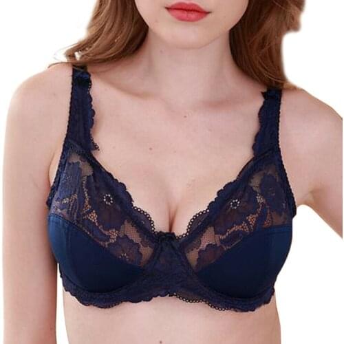 Plus Size Lace Bras for Women Sexy Bralette Mesh Transparent Thin Push Up Bra Blue Floral Underwear 36 38 40 42 44 46 C D E