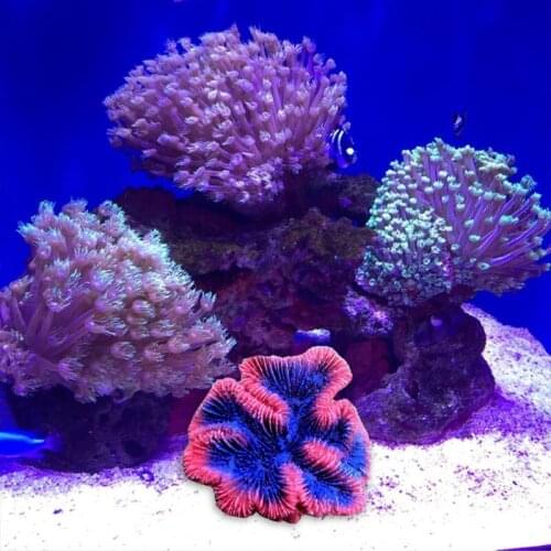 Aquarium Artificial Coral Plant Resin Sea Plant Ornament Simulation Non Toxic Freshwater Saltwater Fish Tank Decor