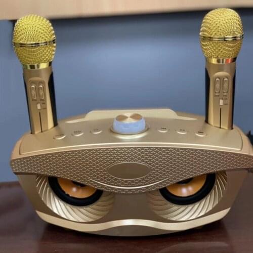 Home Theater Bluetooth Speaker Family Karaoke Move KTV Music Center Sound Bar For Computer Powerful Big Large Speaker with 2 Mic