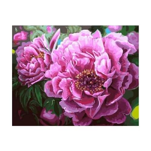 Luxury Peonies Framed Flower DIY Painting By Numbers Painting & Calligraphy Canvas Painting Coloring By Numbers 40x50cm