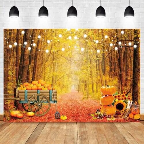 Laeacco Autumn Wooden Board Pumpkin Haystack Harvest Photography Backgrounds Customized Photographic Backdrops For Photo Studio