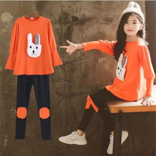 Clothing Set Girls Clothing Sets cartoon Children Kids Tracksuit For Girls Clothes Suit Children Clothes Child set