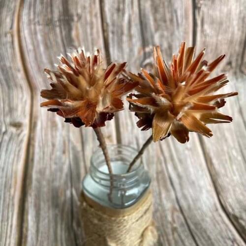 4~6CM Head / 2PCS Decorative Dried Natural Flowers Feather Chrysanthemum Dry Roses Branch,DIY for Home Decor,Wedding Bouquet