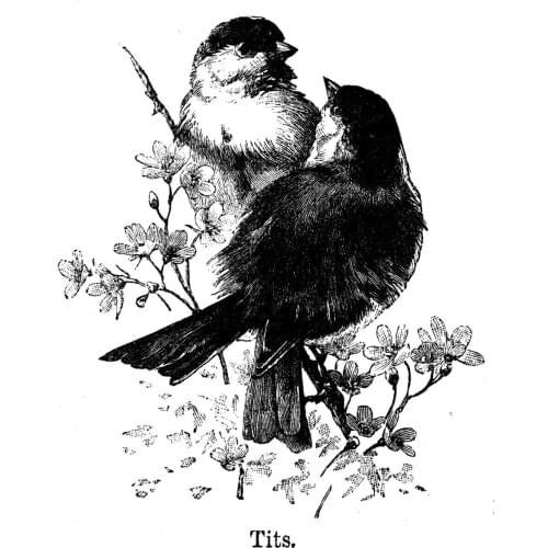 AZSG Sparrow / Flower Clear Stamps For Scrapbooking DIY Clip Art /Card Making Decoration Stamps Crafts