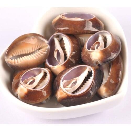 5pcs brown Natural Shell Beads for jewelry Bracelet Necklace Earring Making for Craft Decoration 20-35mm TRS0295