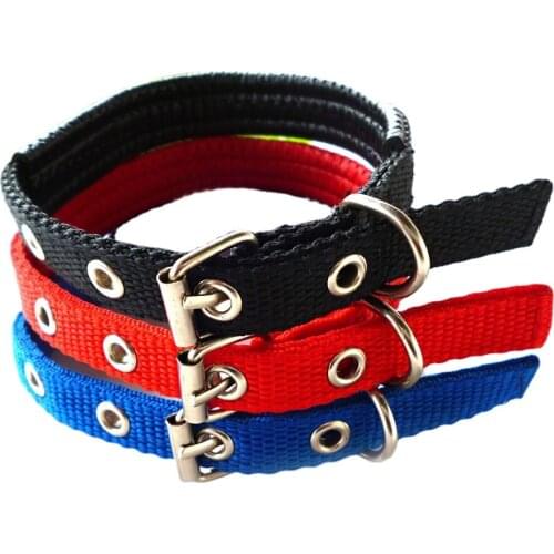 Colored Foam Pet Collars Cowboy Dog Collar Accessories Colorful Nylon Dog Collar Pet Traction Circle Pet Supplies