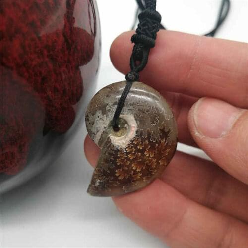 1Pcs Madagascar Spotted Conch Polished Jades Pattern Ammonite Fossil S snail Pendant specimen Natural Stones and Minerals