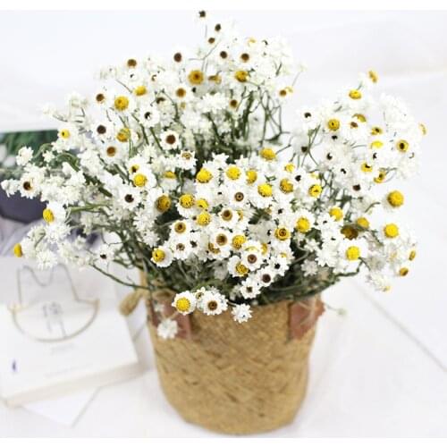 10PCS/20PCSReal Chrysanthemum Dried Flower Home Decor Living Indie Room Decoration Atificial Flower For Wedding Party Christmas