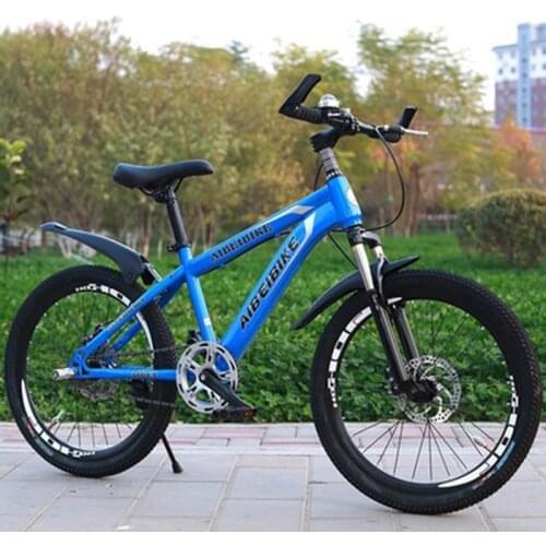 Adult Mountain Bike 24-Inch Single-Speed Two-Disc Brake Shock Absorber Student Mountain Bike