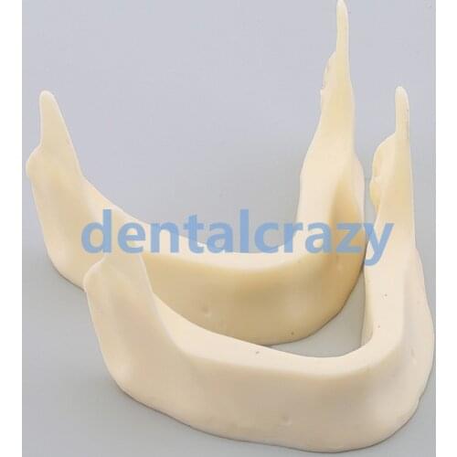 2pcs Dental Model M2025 - The Development of Jaw Lower dental instrument
