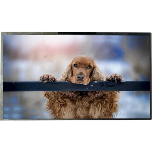 10.1 30 pins Good Tablet LCDs Screen for ARCHOS 101C Copper XYX 101H21 Display A+ Grade Original Test Well Fast Delivery