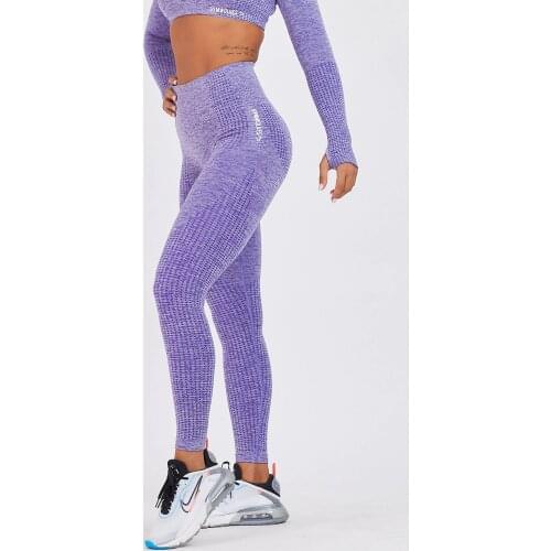 Seamless Sport Leggings | Purble | Seamless Leggings | Activated Series