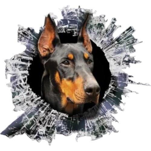 13cm X 12cm 3D Doberman Window Decal Glass Slag Decal Reflective Stickers Waterproof Car Styling Animal Decals for BMW Golf