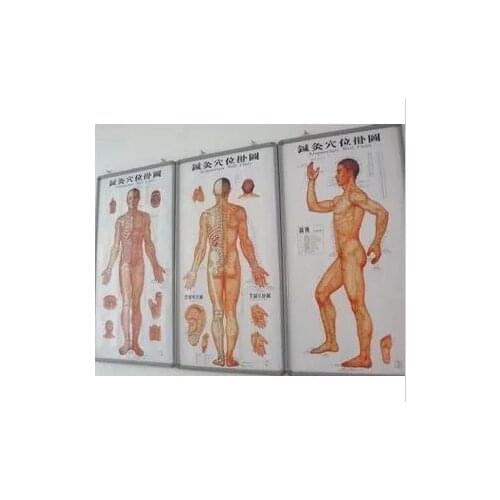 3pcs/sets Human Meridian Acupuncture Point Health Therapy Medical Massage Acupuncture Acupoints Map In Chinese-English