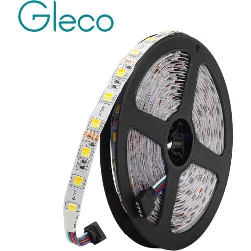 CCT 2 IN 1 White+Warm white LED strip 5050 60LEDs/m,5M DC12V 5050 LED Strip Light Color Temperature adjustable